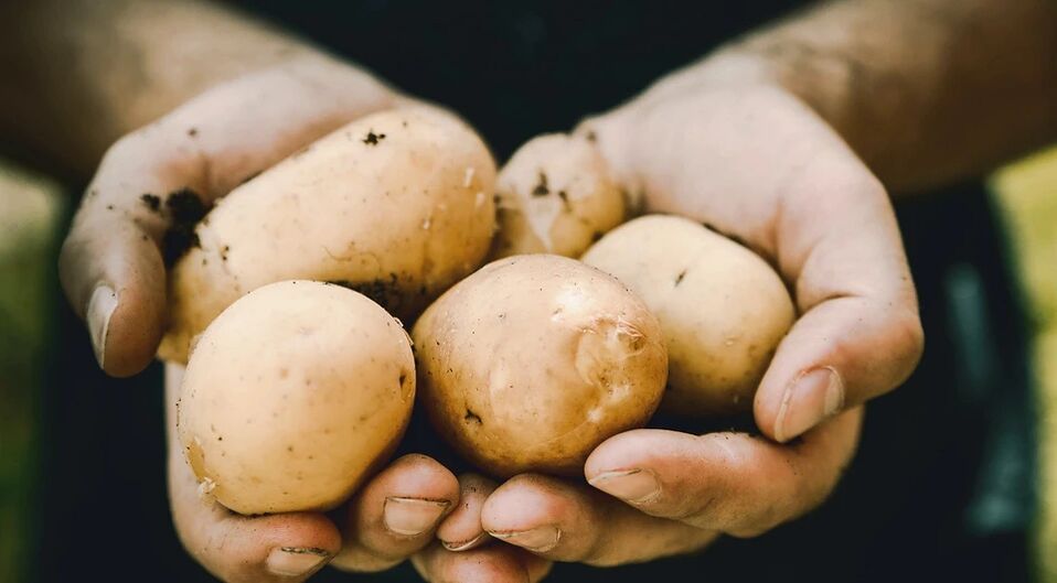 Bulvės teigiamai veikia vyrų sveikatą